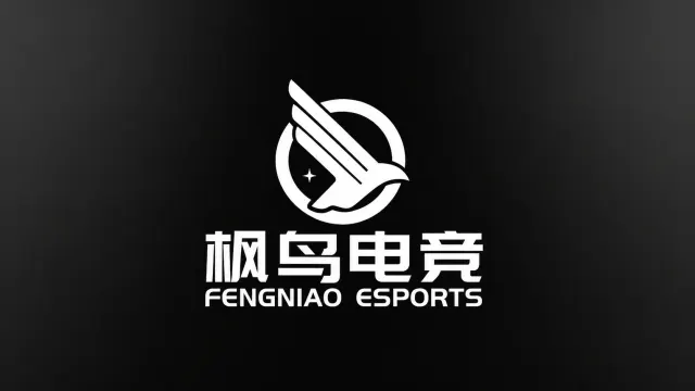 枫鸟电竞封面