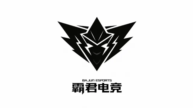 霸君电竞封面