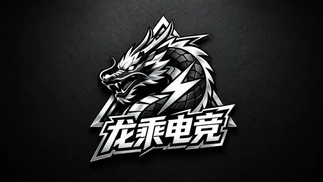 龙乘电竞封面