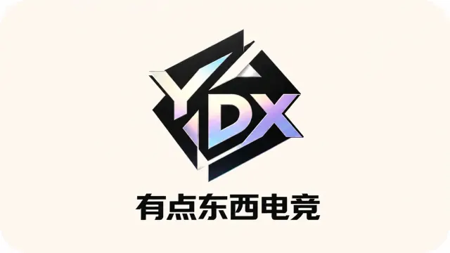 有点DX电竞封面