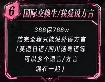 米拉纯女电竞国际交换生详情图片1