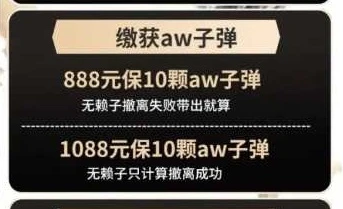 缴获AW子弹趣味单图片