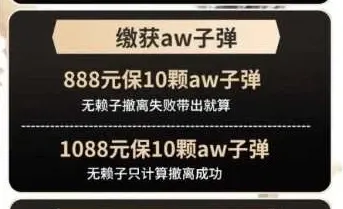 霸君电竞缴获AW子弹详情图片1